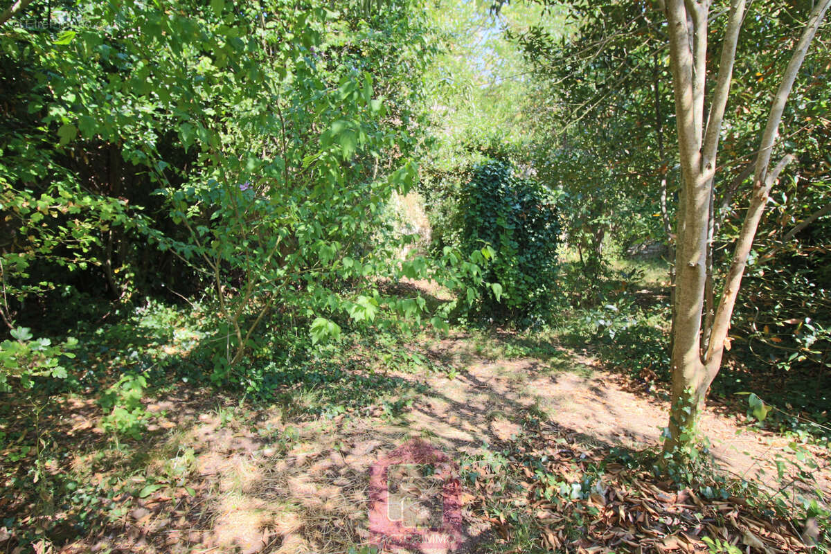 Rare!! En exclusivité   Au cœur de Puy-l'Évêque - photo 20