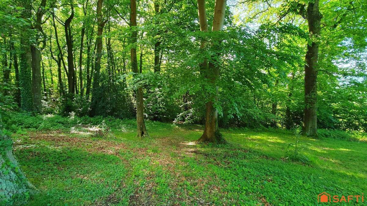 Photo 4 - Terrain à SAINT-GATIEN-DES-BOIS