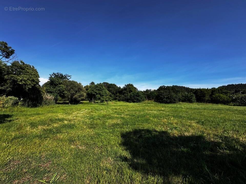Terrain à SAINT-RAPHAEL