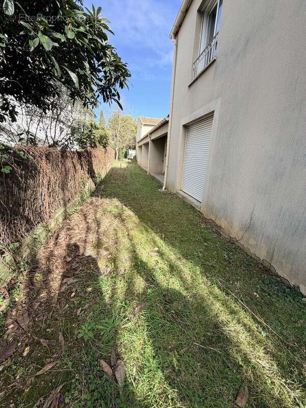 Commerce à MONTPELLIER