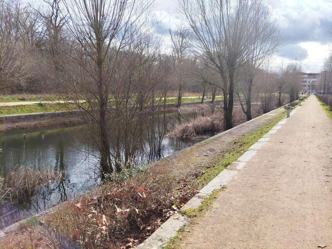 Photo 6 - Appartement à SAINTE-GENEVIEVE-DES-BOIS