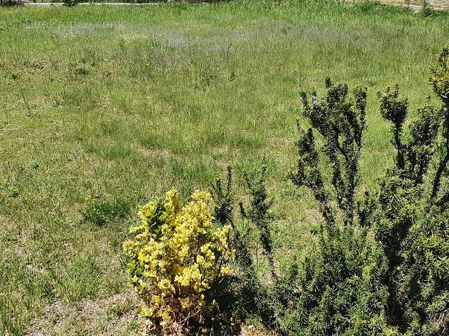 Terrain à SAINT-LAURENT-DE-LA-SALANQUE