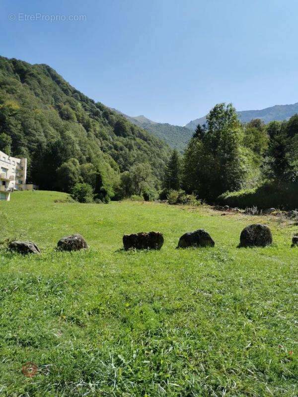 Appartement à COUFLENS