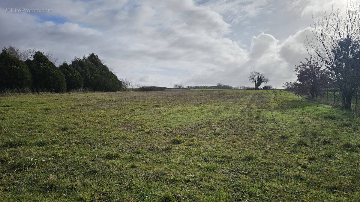 Terrain à VERTEILLAC