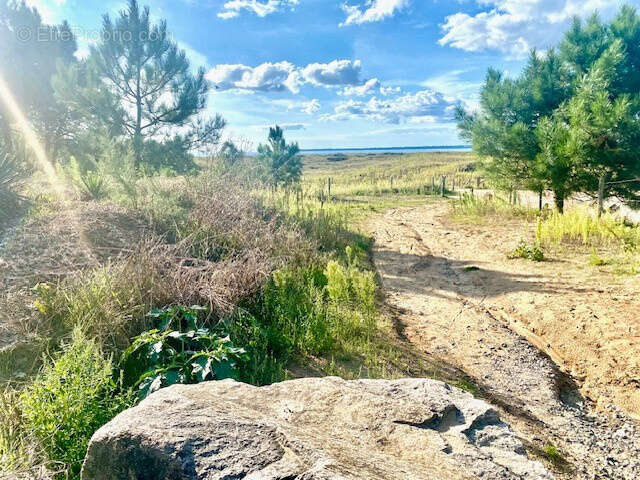 Appartement à SAINT-BREVIN-LES-PINS