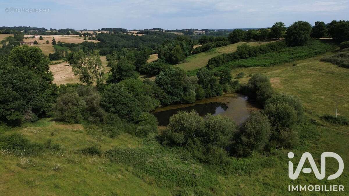 Maison 235 m² à Vicq-Sur-Breuilh  - photo 9