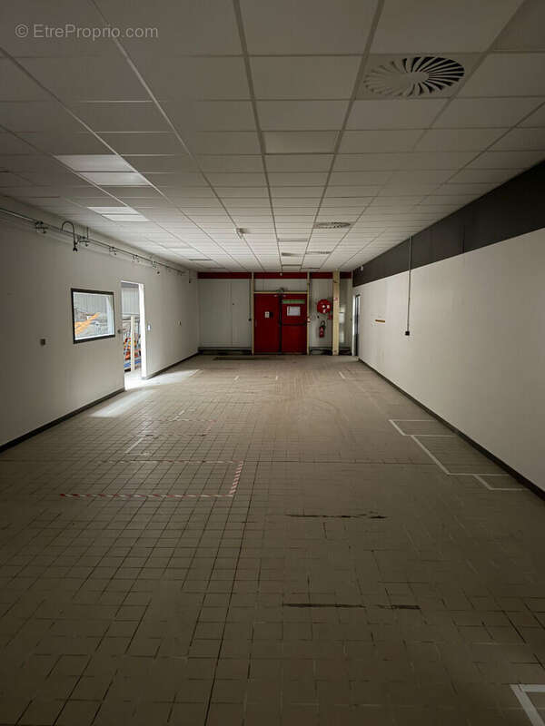Local commercial A VENDRE 1690m² - Proche SAINT-JUNIEN - Terrain - photo 5