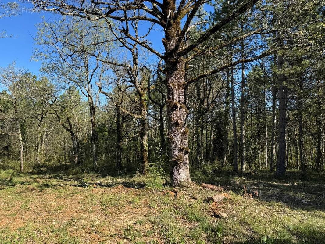 Terrain à CAHORS