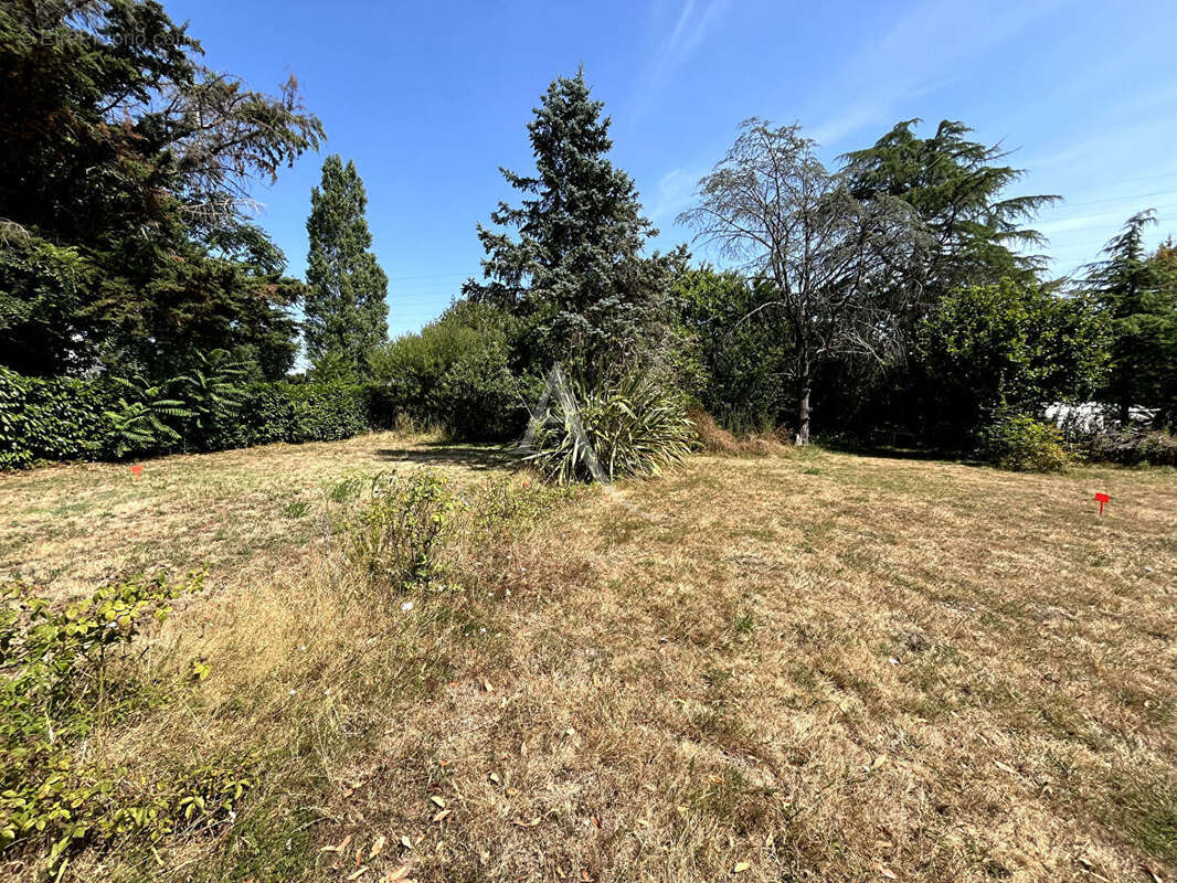 Terrain Vannes - photo 3
