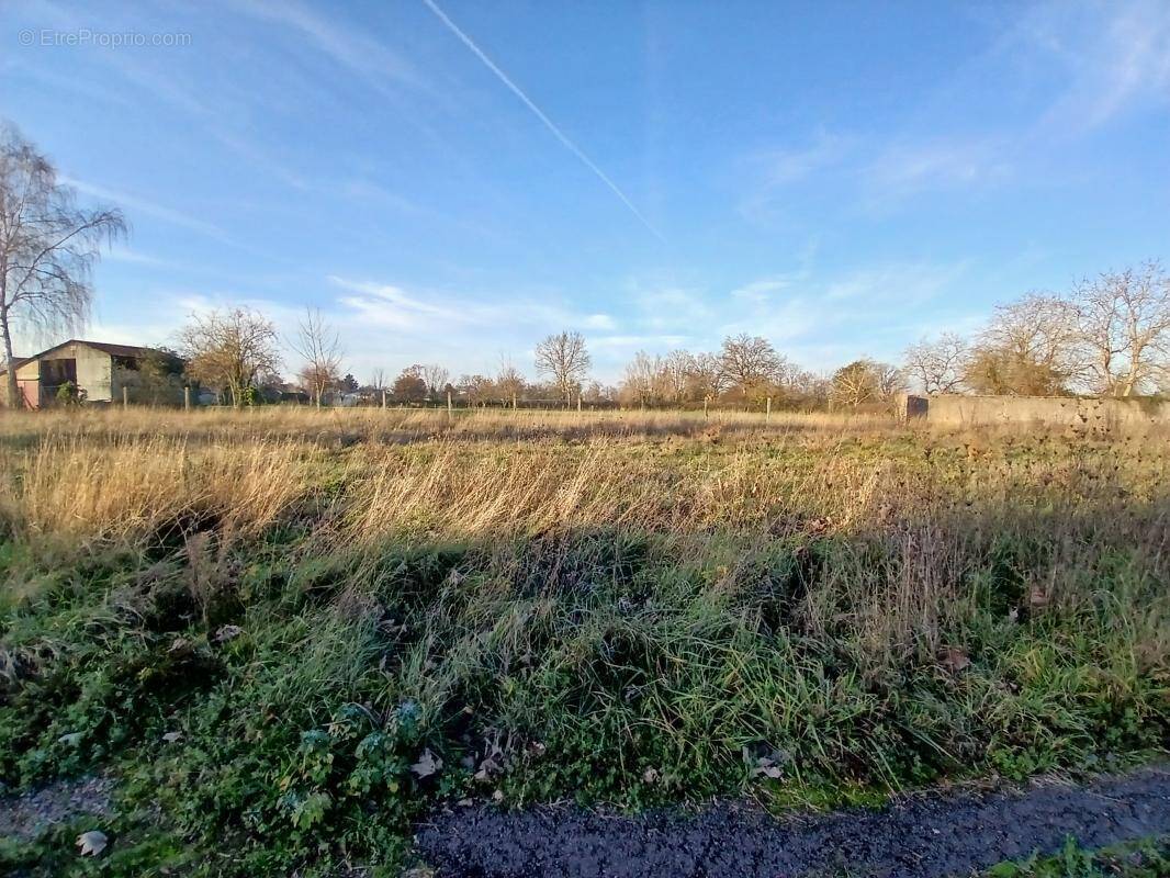 Terrain à SOUVIGNY