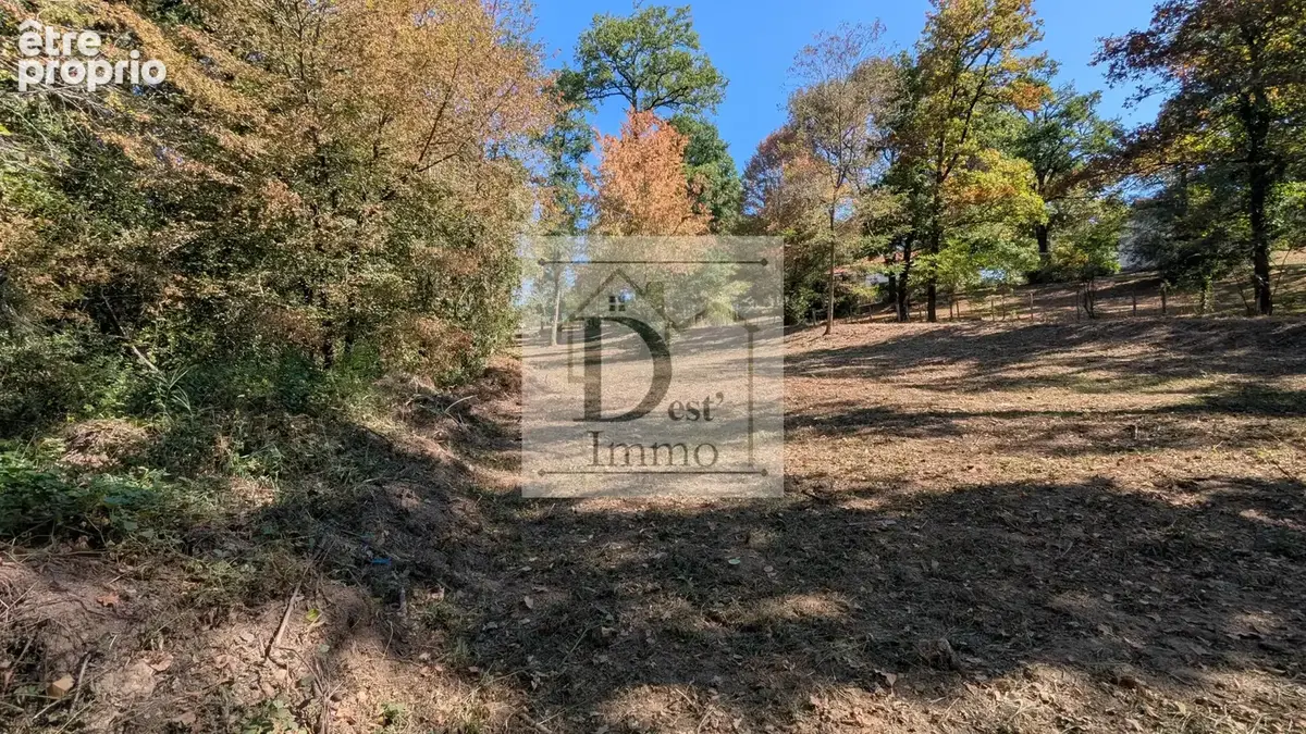 Terrain arboré et au calme — À 5 min de Chabanais - photo 3