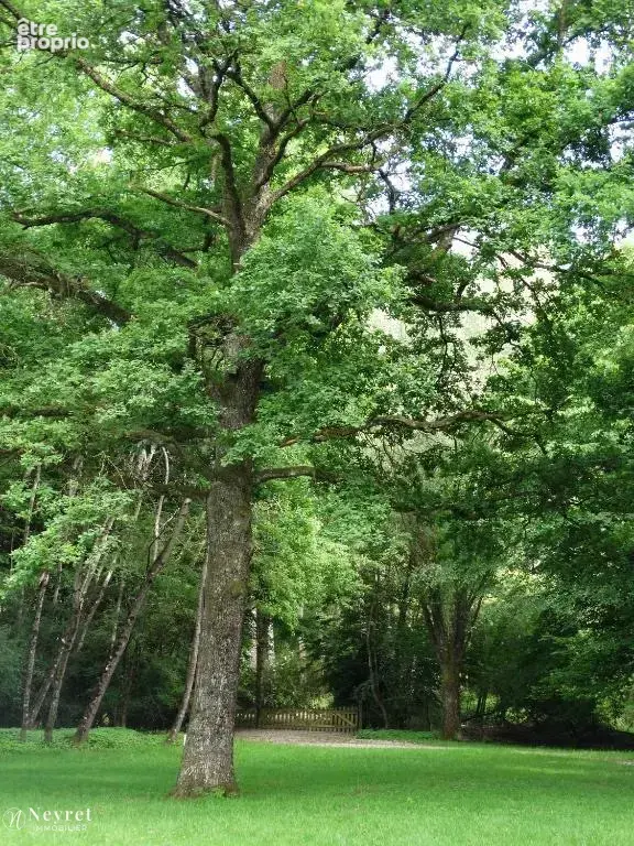 Propriété composée de cinq chalets et deux étangs - photo 15