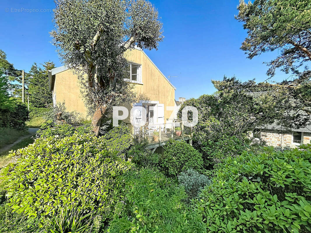 MAISON  86 m2 SAINT-PAIR-SUR-MER - 5 pièces-  Jardin 255m² - photo 4