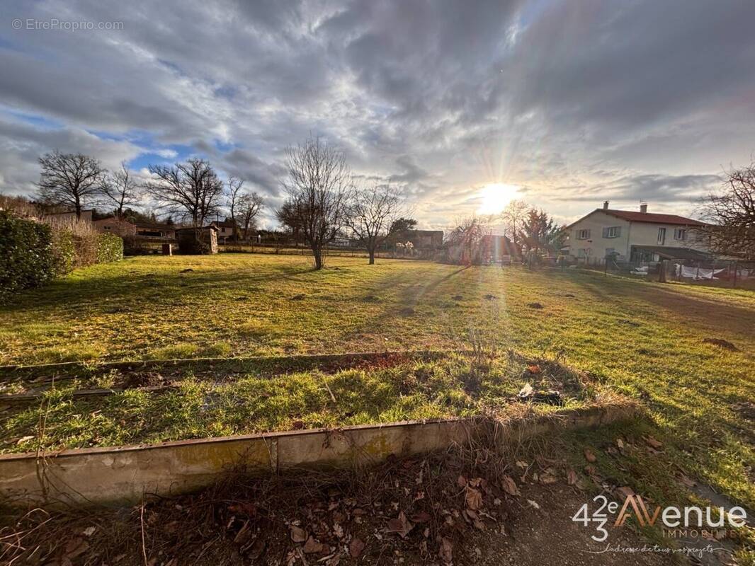 Terrain à BAS-EN-BASSET