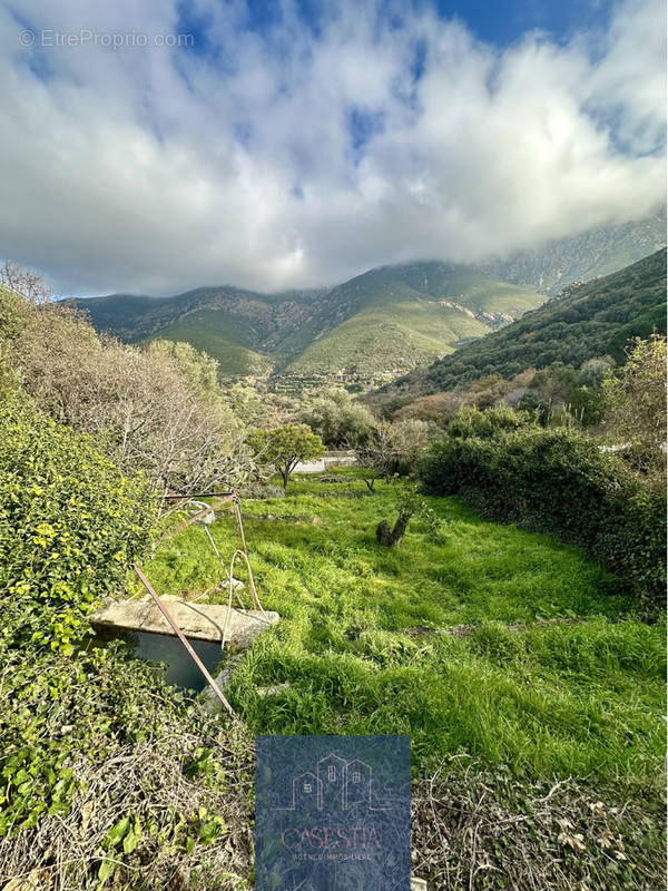 Superbe terrain avec bassin - photo 2