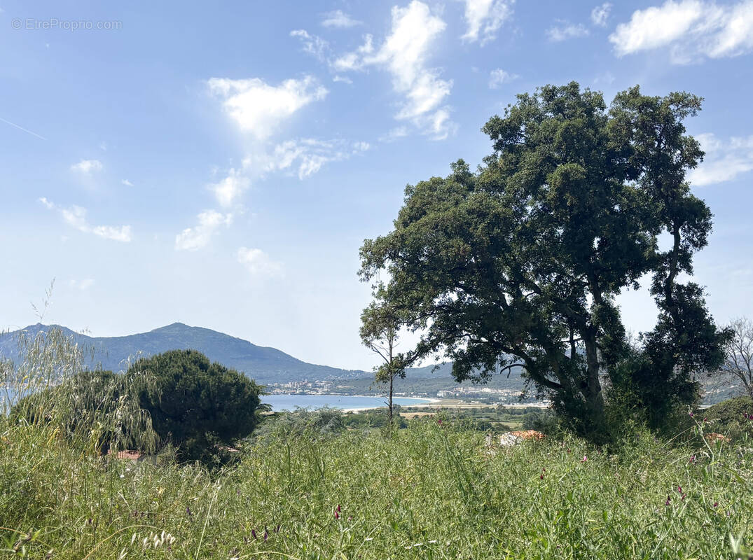 Terrain à PIETROSELLA