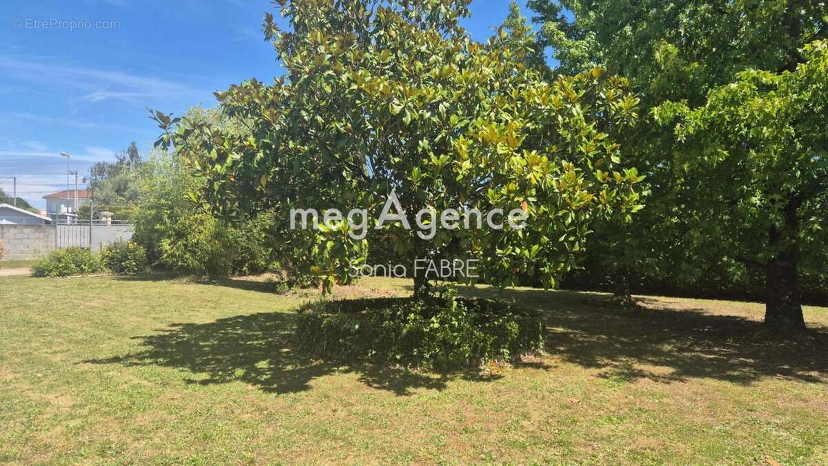 Beau terrain plat et arboré - photo 4