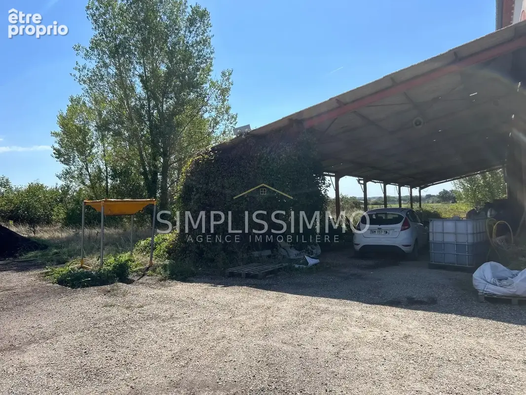 Commerce 4 000 m² à vendre à Villematier (31340) - photo 6