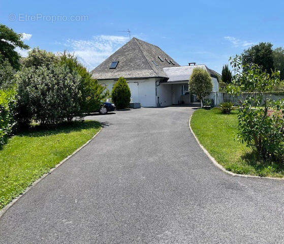 IMG_2048 - Maison à OLORON-SAINTE-MARIE