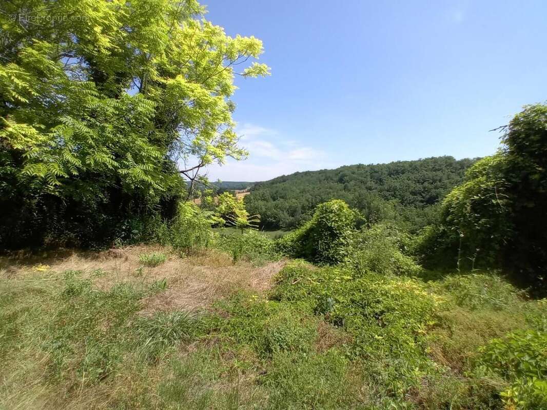 Jardin  - Maison à MONTCUQ