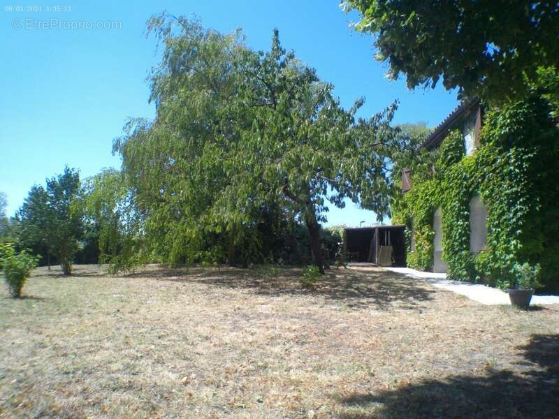 CHATEAUBERNARD A Vendre Maison 8 Pièces avec Studio 2 Pièces - photo 4