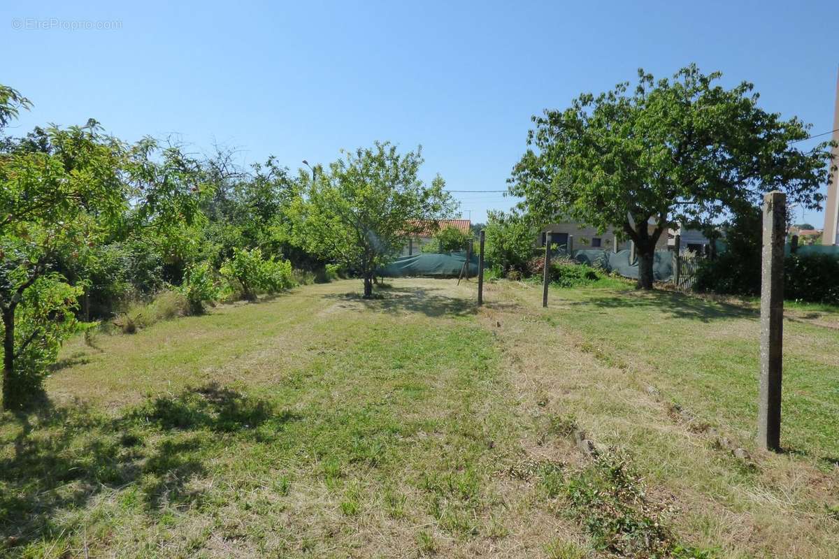 Terrain à CHANTONNAY