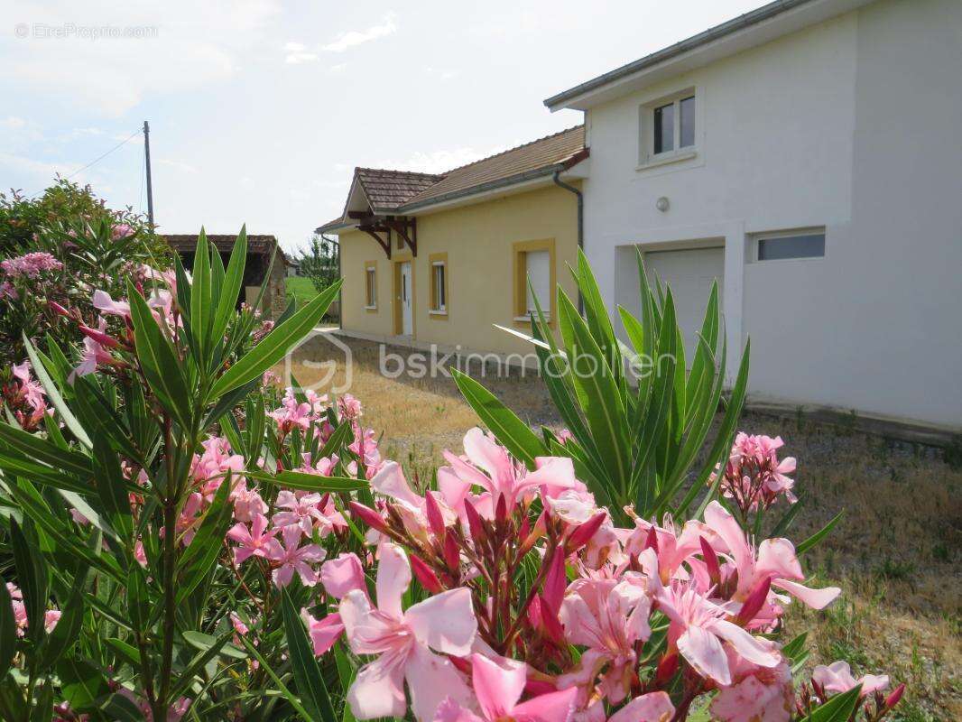 Maison de plain-pied rénovée de 125 m² – Aucun travaux – Dépendances et fort potentiel - photo 7