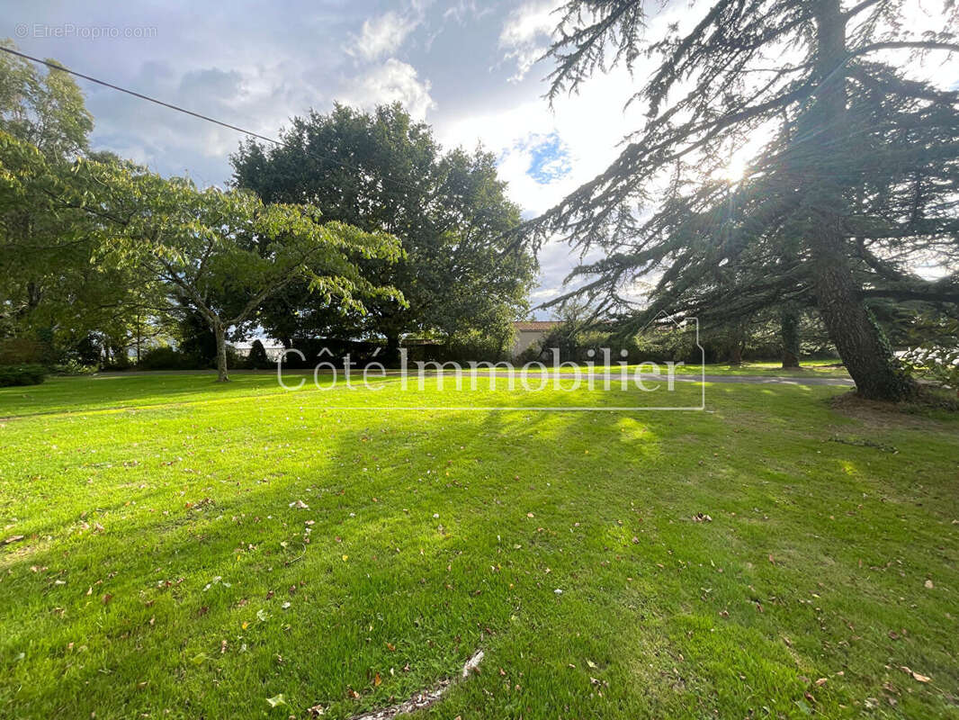 Terrain à SAINT-PHILBERT-DE-GRAND-LIEU