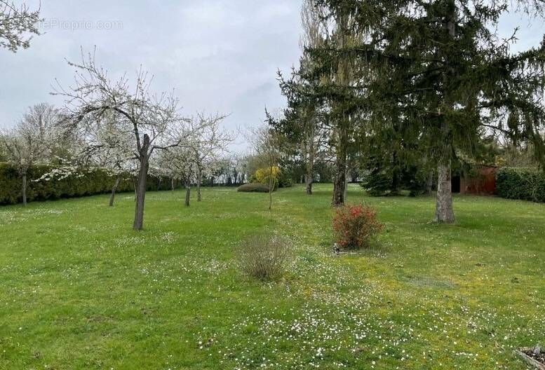 Terrain à HEUQUEVILLE