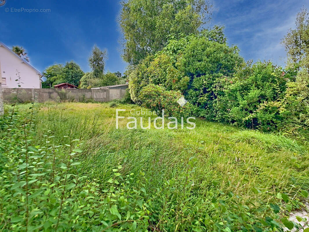 Maison à LA HAYE-DU-PUITS