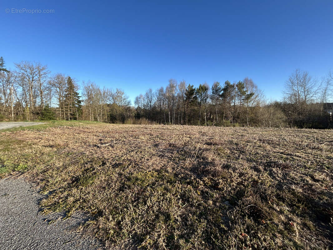 Terrain à SAINT-PRIEST-DE-GIMEL