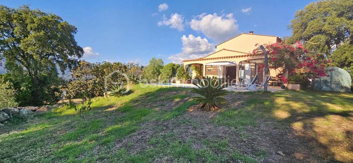 Maison à CUTTOLI-CORTICCHIATO