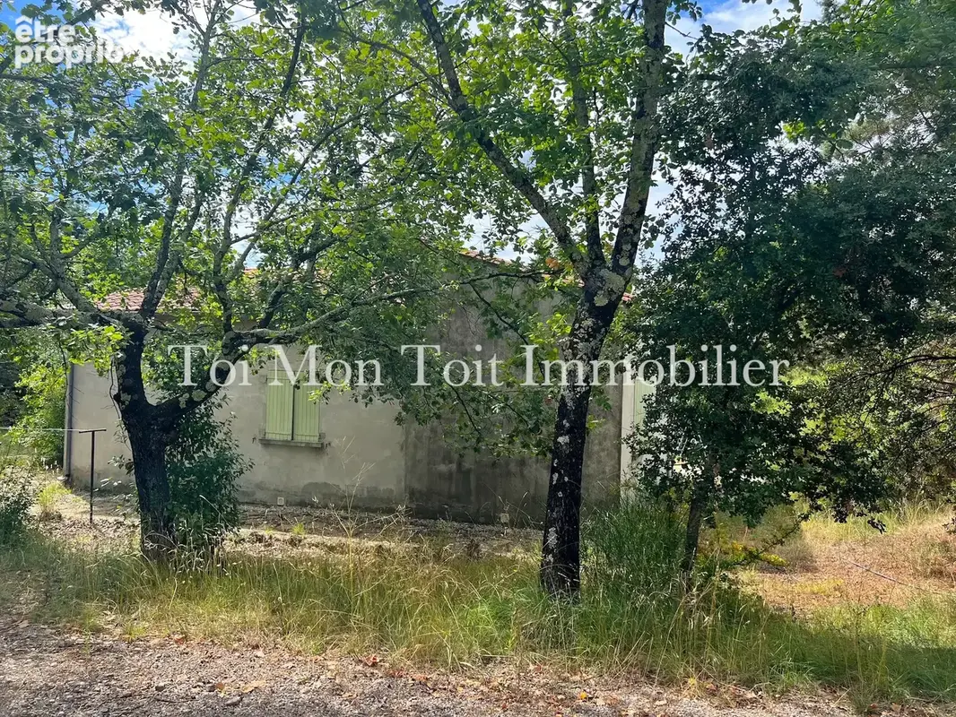 Sur 6000 m2, Villa F4 + 2 grands hangars situés sur la commune de Durfort et Saint-Martin - photo 15