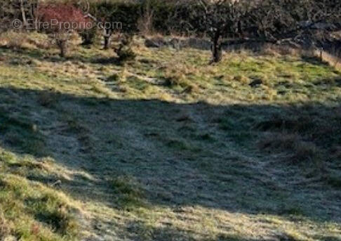 Terrain à DAVEZIEUX