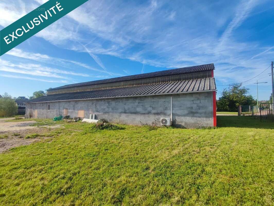 Commerce 373 m² à Cosne-Cours-Sur-Loire  - photo 6