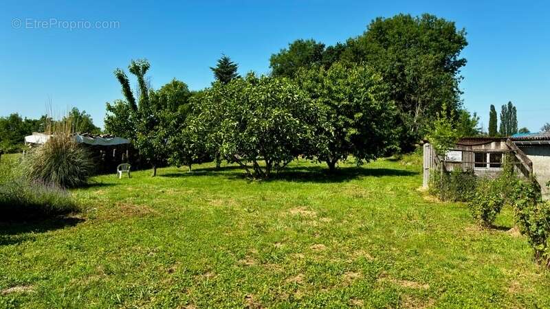 Exclusivité Capifrance – Maison individuelle de 101 m² et sa dépendance aménageable de 25 m² – Grand terrain clos de 1 980 m² av - photo 15
