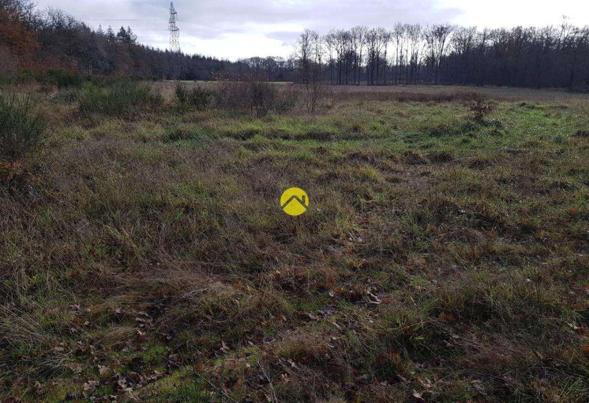 Terrain à NEUVY-SUR-BARANGEON