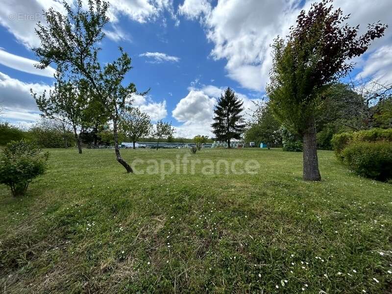Dpt Dordogne (24), à vendre COULAURES maison P11 de 390 m² - Terrain de 4 828,00 m² - Plain pied - photo 9