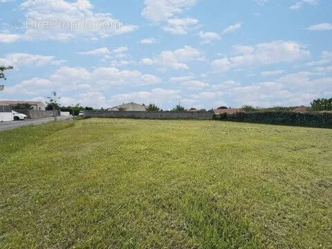 Terrain à LE BOURDET