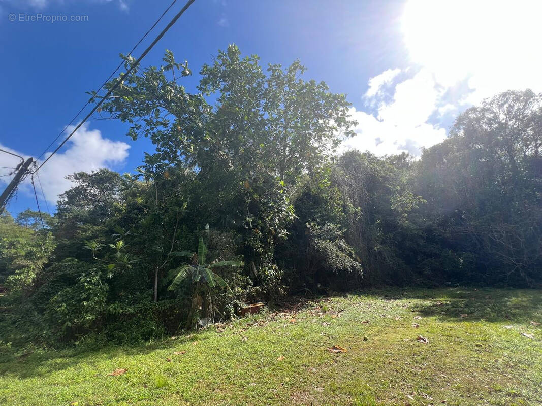 Terrain à LE GOSIER