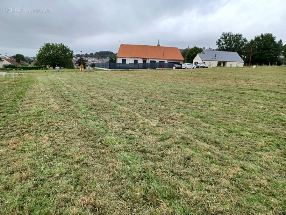 Terrain à SILLE-LE-GUILLAUME
