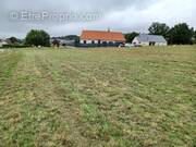 Terrain à SILLE-LE-GUILLAUME