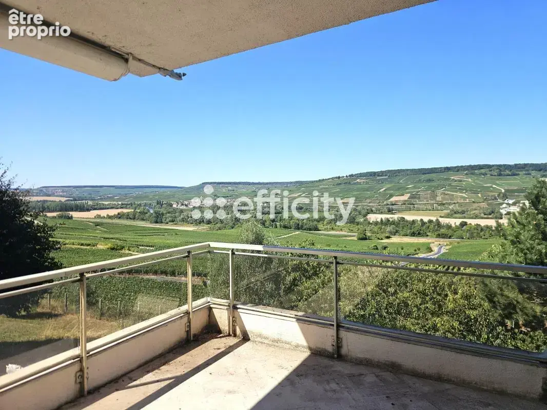 Maison 8 pièces 295 m² à vendre à Oeuilly (51480) - photo 4