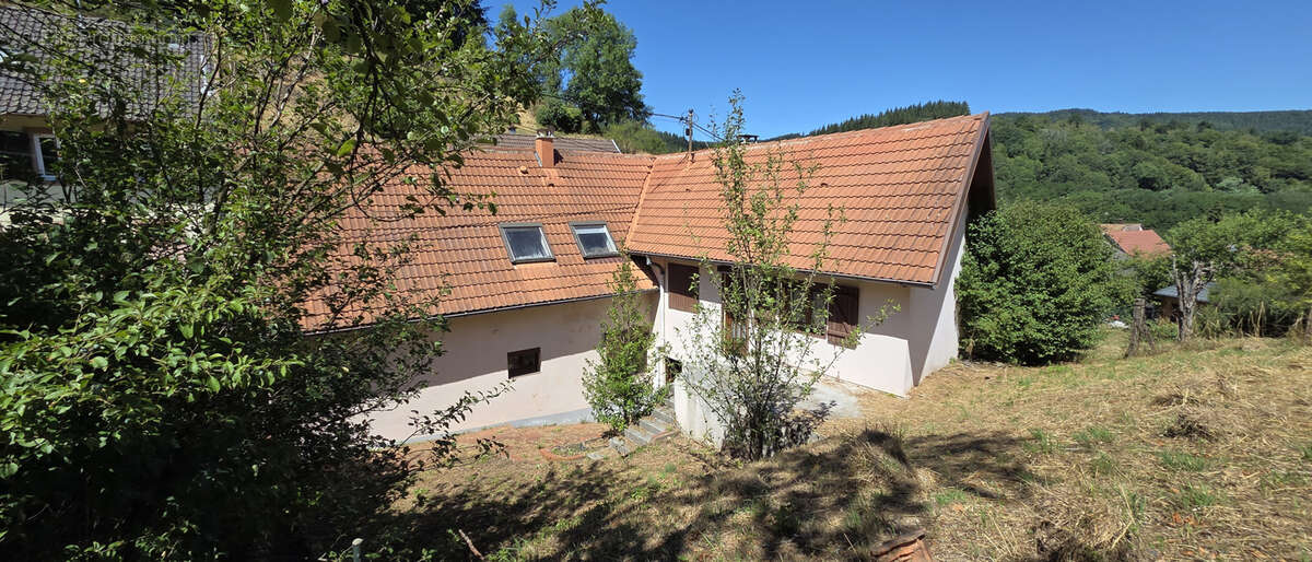 Rothau, grande maison individuelle avec logement indépendant, 12.76 ares. - photo 35
