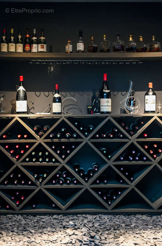 Maison à SAINT-DIDIER-AU-MONT-D&#039;OR