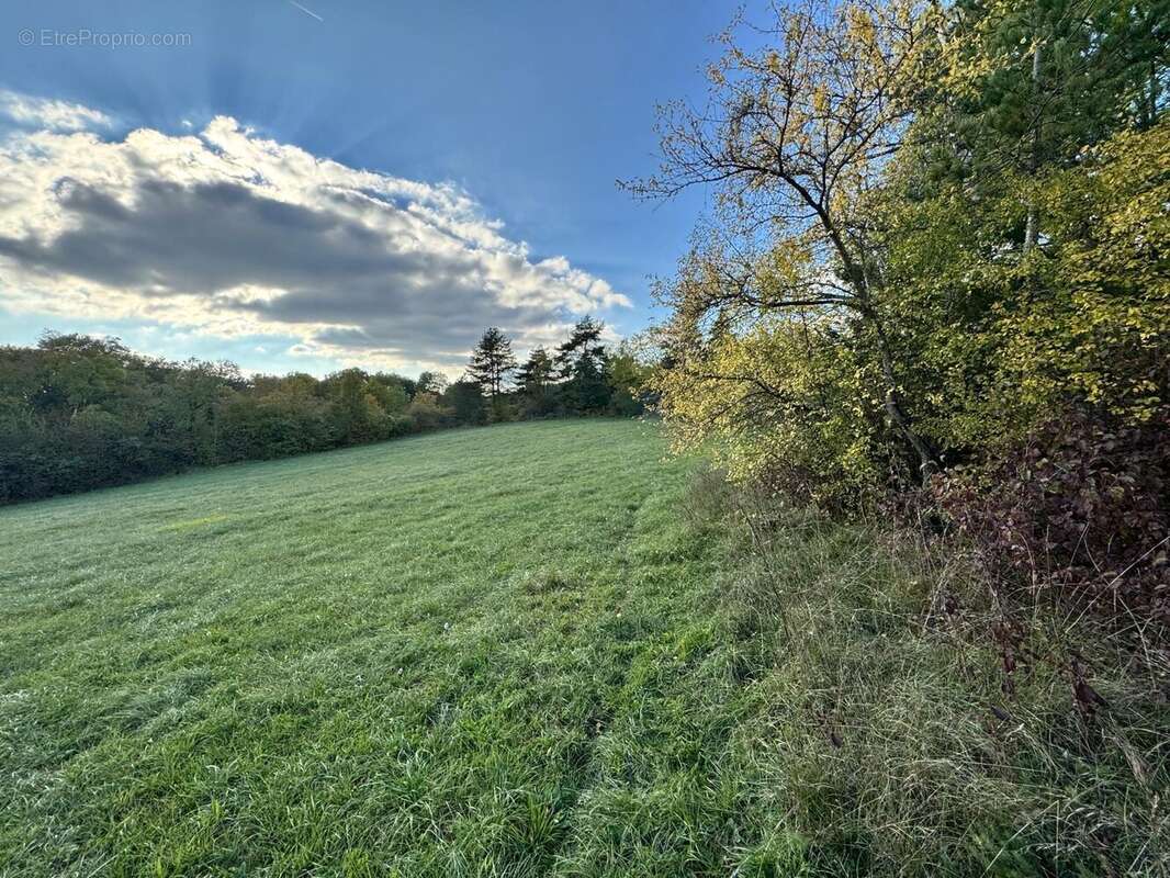 Terrain à DAROIS