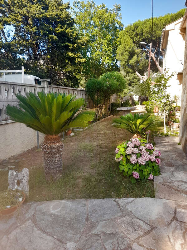 Patrimonio :  : villa avec 5 pièces à vendre - photo 4