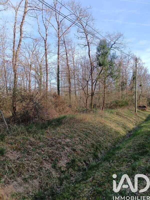 Photo 3 - Terrain à SAINTE-GEMME