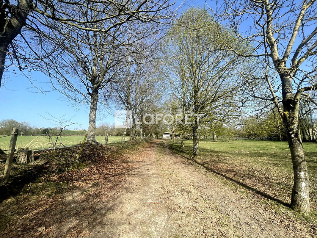 Terrain à BRIOUZE