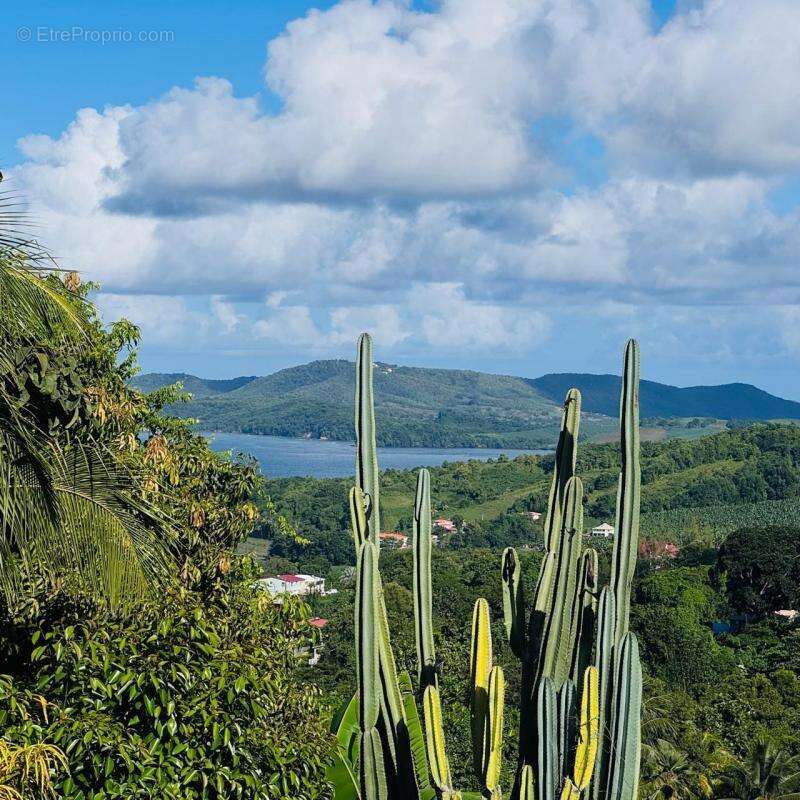 Maison à SAINTE-MARIE